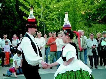 Venus زلاكاروس