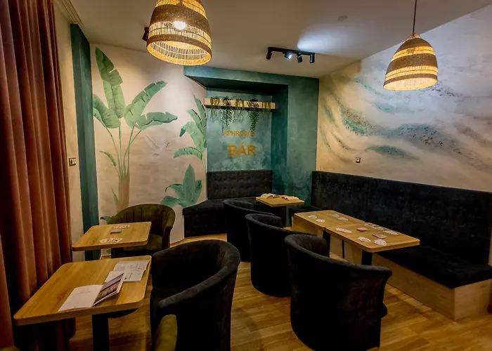 金星酒店 酒店 佐洛卡罗斯