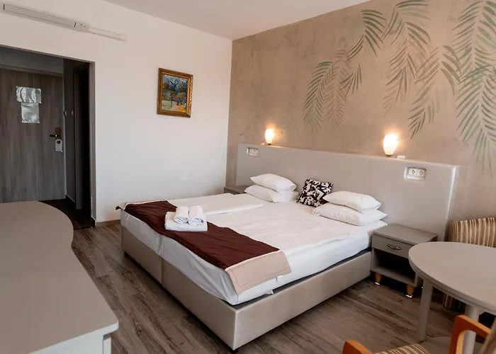 酒店 金星酒店 3*