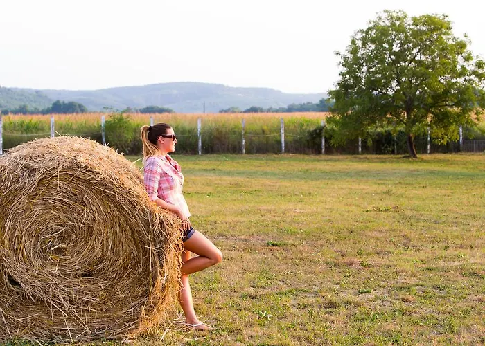 金星酒店 酒店 3*